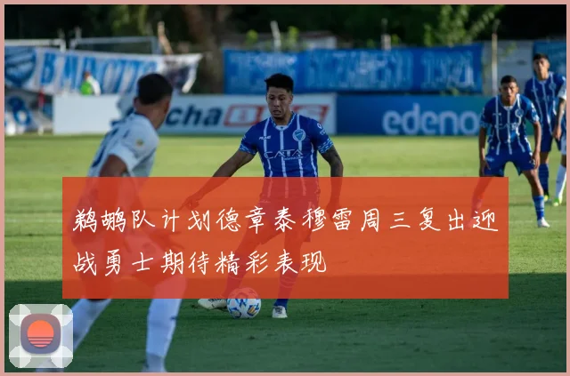 鹈鹕队计划德章泰穆雷周三复出迎战勇士期待精彩表现